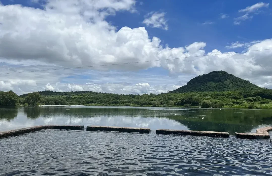 Imagen de la presa de la luz en Jacona